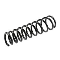 Coil spring in front