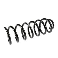 Coil spring in front