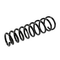 Coil spring in front