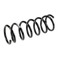 Rear suspension spring