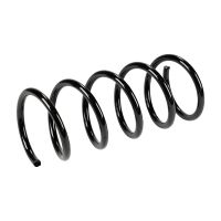 Rear suspension spring