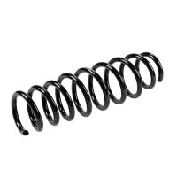 Rear suspension spring