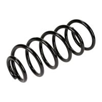 Rear suspension spring