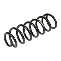 Coil spring in front