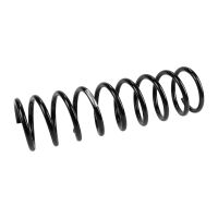 Rear suspension spring