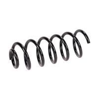 Rear suspension spring