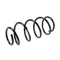 Coil spring in front