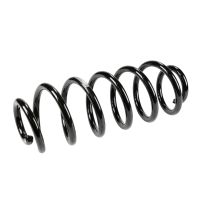 Rear suspension spring