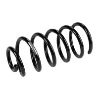 Rear suspension spring