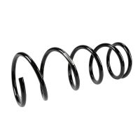 Coil spring in front