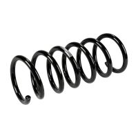 Rear suspension spring