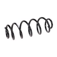 Rear suspension spring