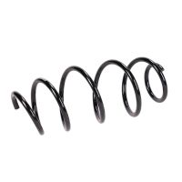 Coil spring in front