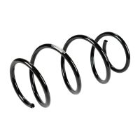 Coil spring in front