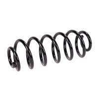 Rear suspension spring