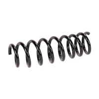 Rear suspension spring