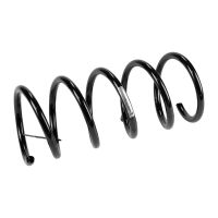 Rear suspension spring