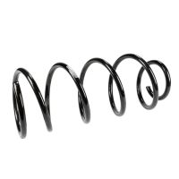 Coil spring in front
