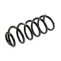 Rear suspension spring