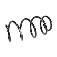 Coil spring in front