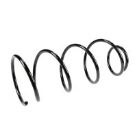 Coil spring in front