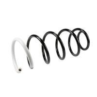 Coil spring in front