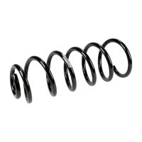 Rear suspension spring