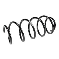 Coil spring in front