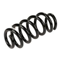 Rear coil spring
