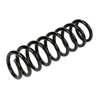 Rear coil spring