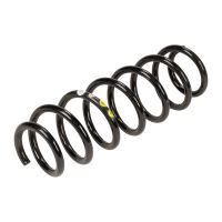 Rear coil spring