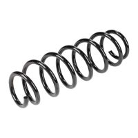 Rear coil spring