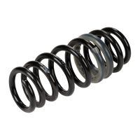 Spiral spring OE