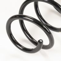 Front coil spring