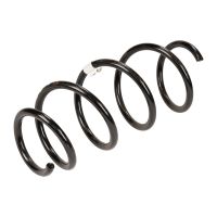 coil spring in front