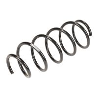 Front coil spring