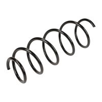 Front coil spring