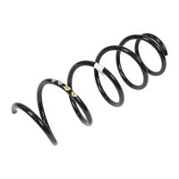 Front coil spring