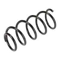 Front coil spring