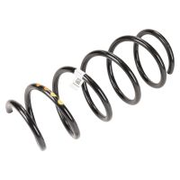 Front coil spring