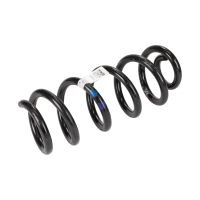 Rear suspension spring