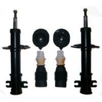 Shock absorber repair kit in front