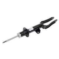 Front left shock absorber