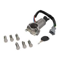 Ignition lock complete with door lock cylinder