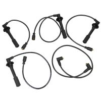 Ignition cable set