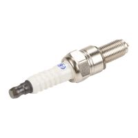 Spark plug AG Automotive Twinspark