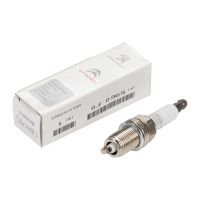 Spark plug 5960.F0