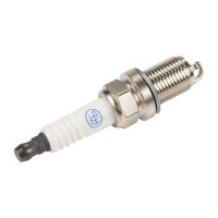 Spark plug AG Automotive Twinspark