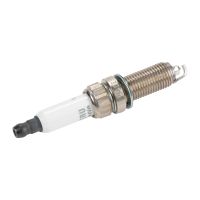 Spark plug PSA