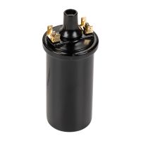 Ignition coil 12 V universal